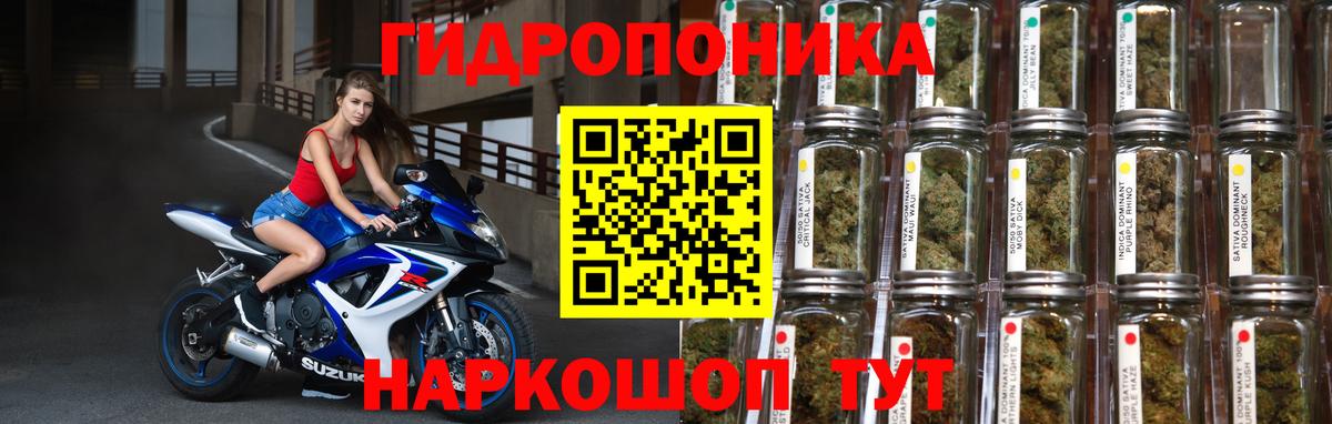 Каннабис ГИДРОПОН Минеральные Воды
